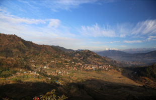 Unique bio-diversity