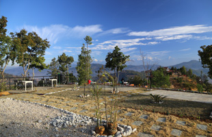 Two Garden Restaurants